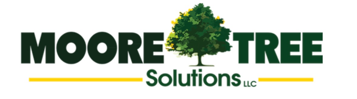 Moore Tree solutions business image in Athens, GA