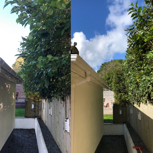 Cornish Trees & Gardens Ltd business image in Liskeard, Cornwall