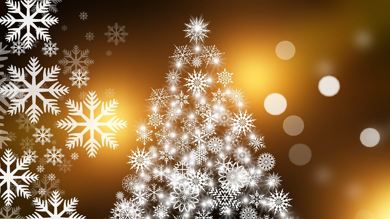 Tulsa Christmas Light Installation business image in Tulsa, Oklahoma